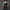 Dark Emerald Chrysalis Nature Slip Dress