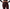 Serpent's Curse Dark Red Floral Damask Flare Leggings